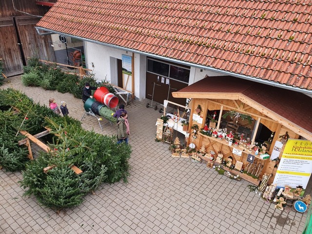 Christbäume Göttl-Hof Pörndorf 2