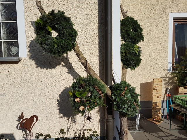 Göttl Hof Christbäume Pörndorf (37)