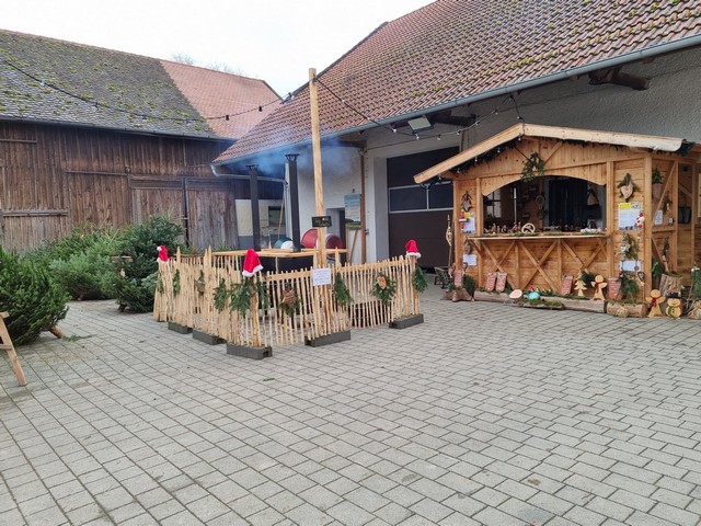 Göttl Hof Christbäume Pörndorf (65)
