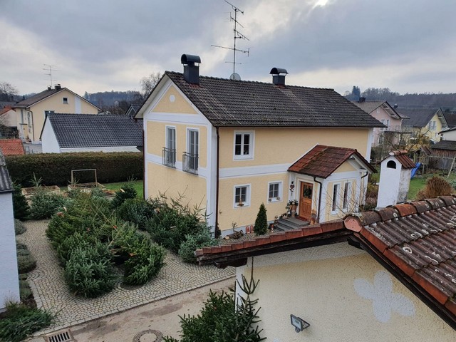 Göttl Hof Christbäume Pörndorf (78)