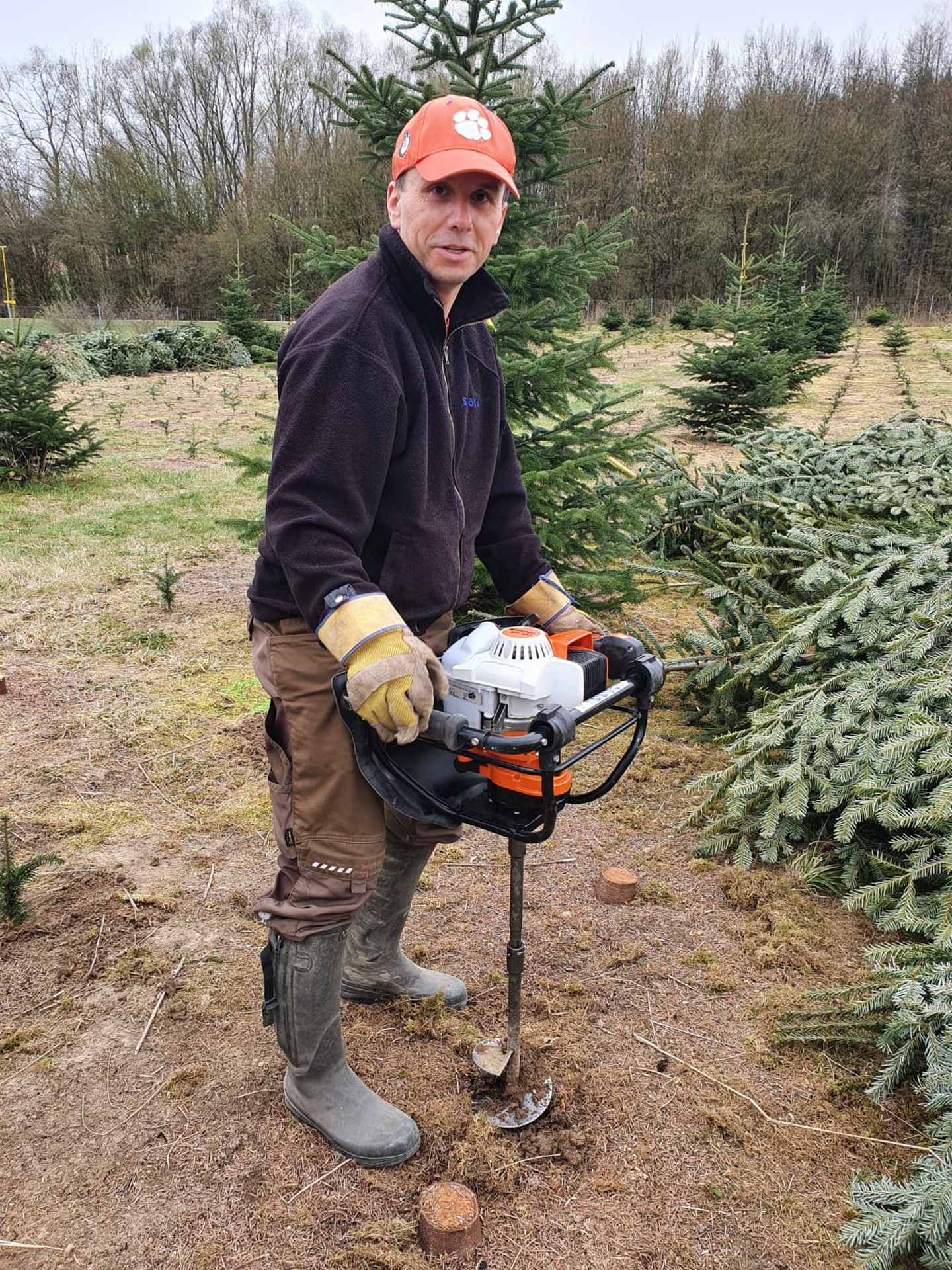 Göttl Hof Christbäume Pörndorf (82)