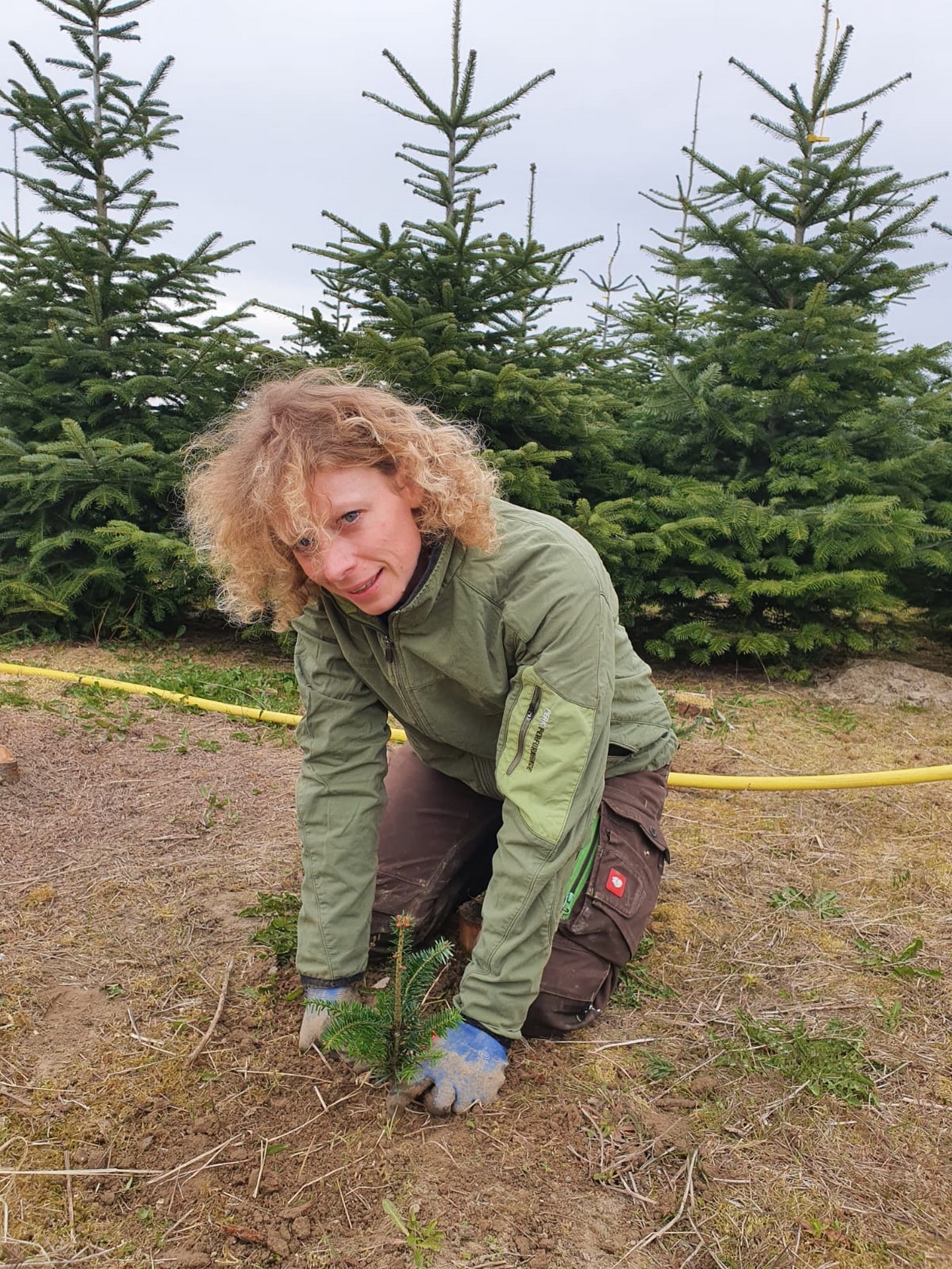 Göttl Hof Christbäume Pörndorf (83)