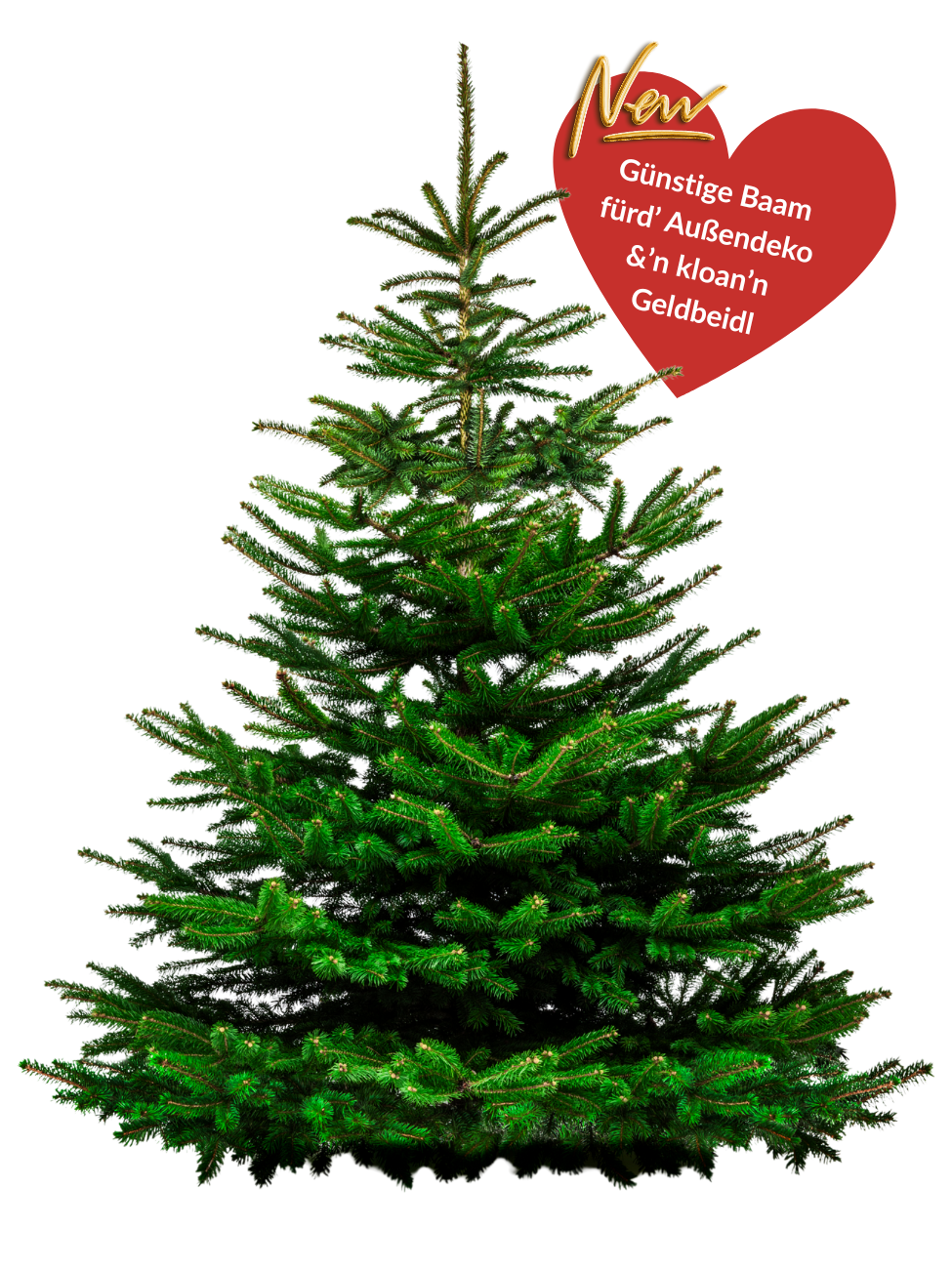 Günstige Baam für d’Außendeko &’n kloan’n Geldbeidl